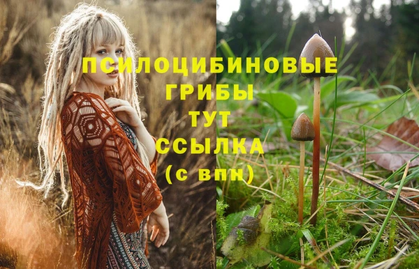 дживик Кинешма