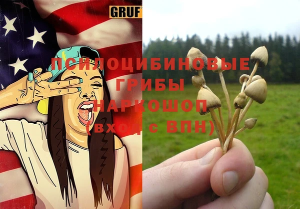 прущие крисы Арсеньев