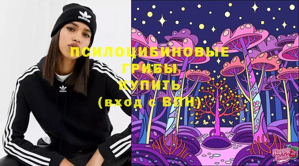 прущие крисы Арсеньев